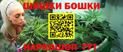 СК Волгодонск