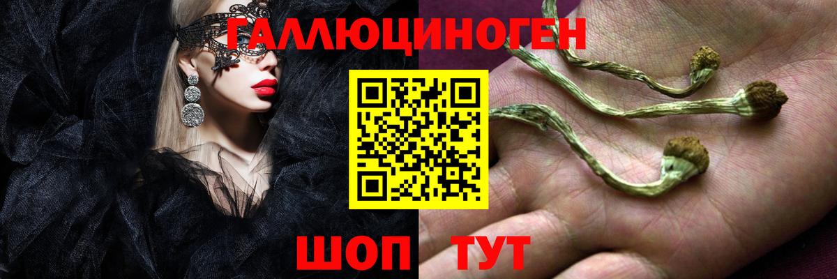 Похвистнево  магазин продажи наркотиков  Вход с VPN  Псилоцибиновые грибы Psilocybe  Галлюциногенные грибы ЛСД 